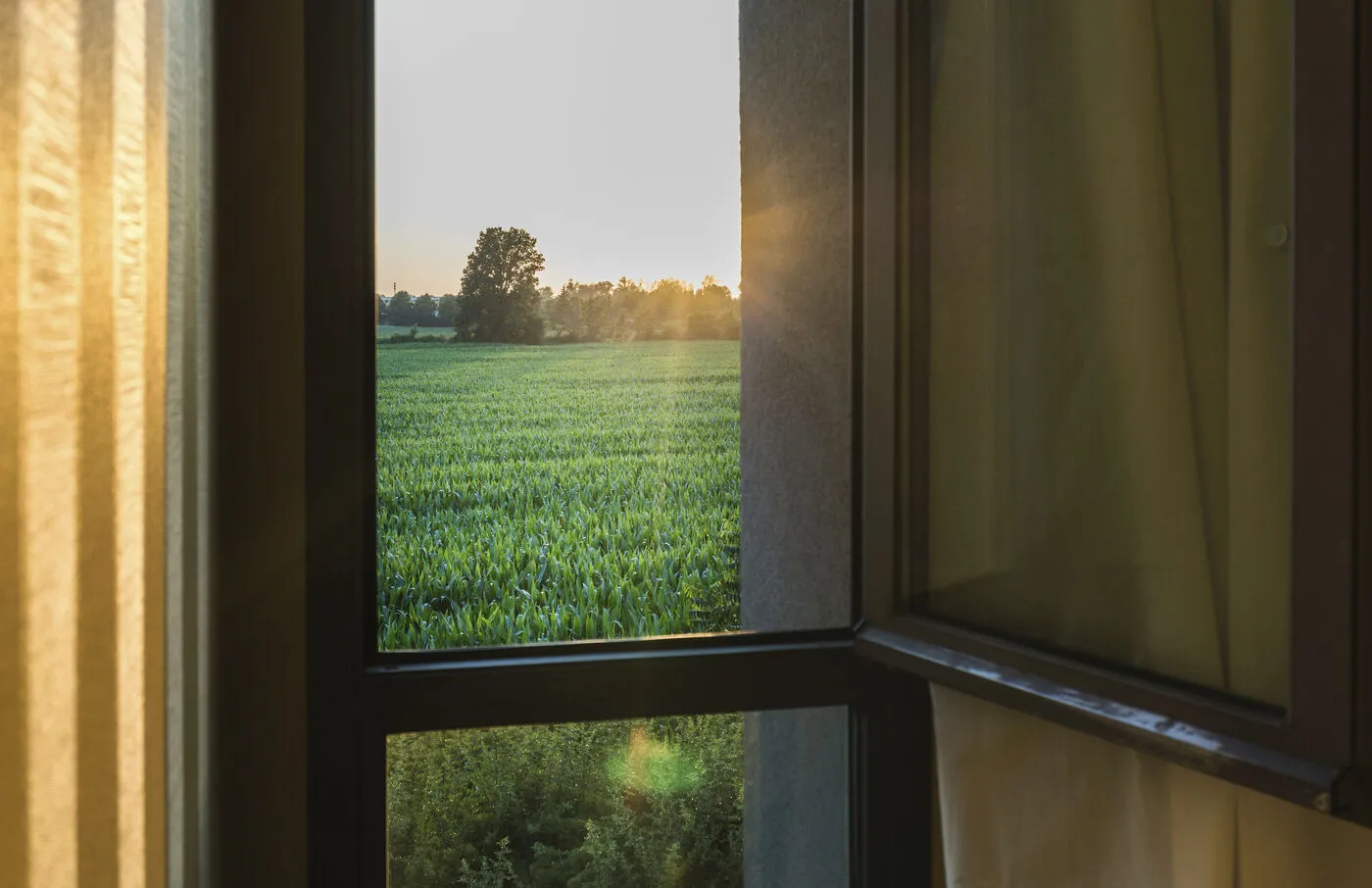 An open window looking out over a green field at sunset